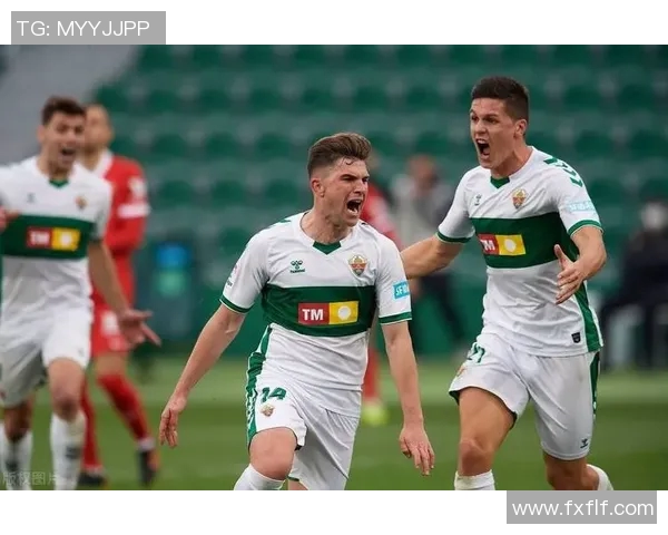 西甲联赛VAR技术应用效果的全面分析与未来展望